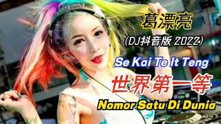 葛漂亮 - 世界第一等 (DJ抖音版2022) Se Kai Te It Teng【Nomor Satu Di Dunia】- Lirik Pinyin Terjemahan Indonesia
