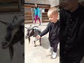 Малыш в Зоопарке.