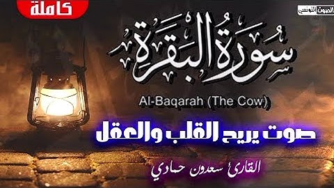 سورة البقرة كاملة طاردة للجن والشياطين والسحر في كل مكان, بصوت سعدون حمادي ، بدون اعلانات