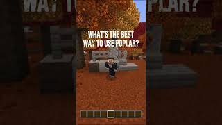 Please help guys #minecraft #update #poplar #viral