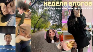 видео: НЕДЕЛЯ ВЛОГОВ || день самоуправления,танцы,школьные будни ✨ картинка: НЕДЕЛЯ ВЛОГОВ || день самоуправления,танцы,школьные будни ✨
