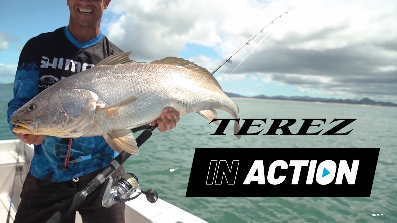 Shimano Terez Rods - IN ACTION 