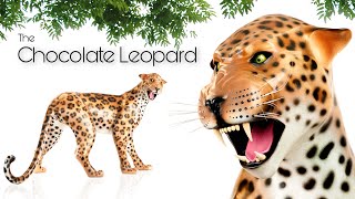 Chocolate Leopard!
