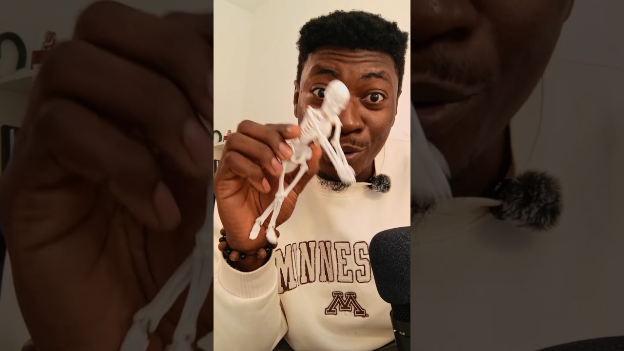 Bone glue made in china