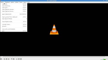 VLC Fedora 19 Play DVDs