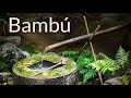 Música relajante con los sonidos de la naturaleza Fuente de agua de bambú [Sonidos curativos]