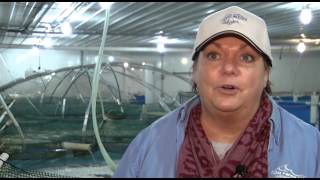 RDM Aquaculture - Fowler, IN