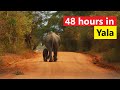 48 hours in Yala | Sri Lanka