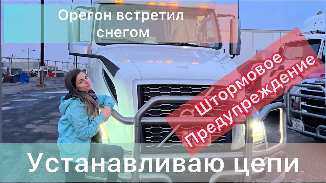Цепи на газель