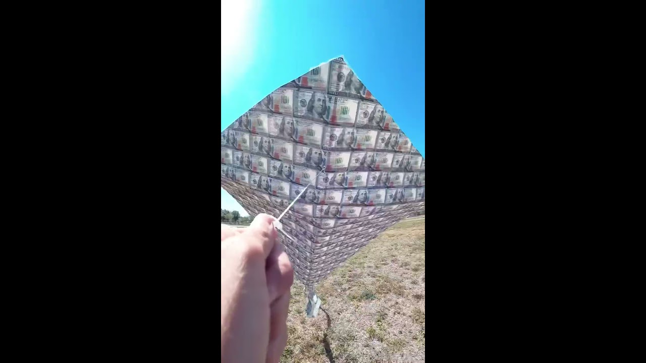The 100 Bill Kite 
