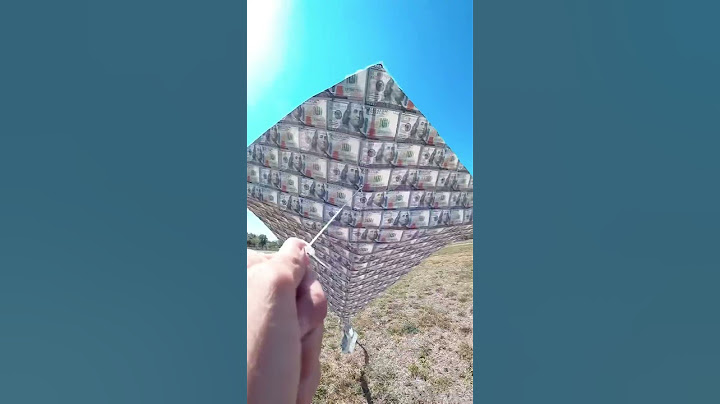 The $100 Bill Kite 💰🪁