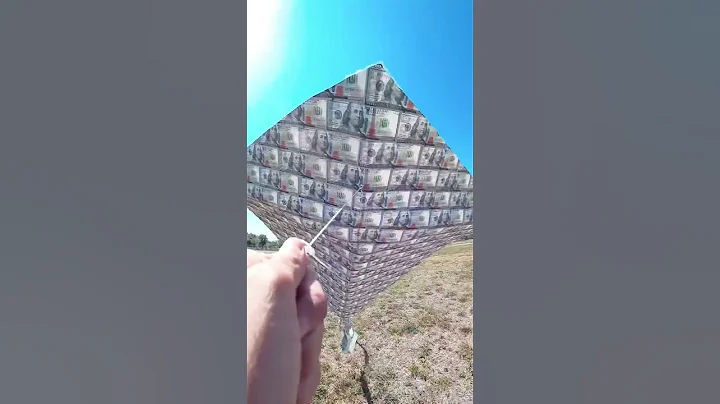 The $100 Bill Kite