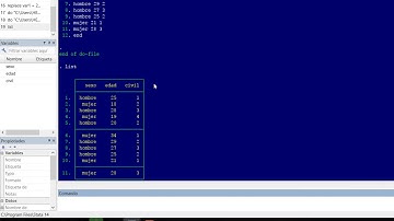 Crear base de datos en Stata (input)