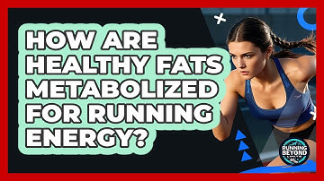 How Are Healthy Fats Metabolized For Running Energy? - Running Beyond Limits