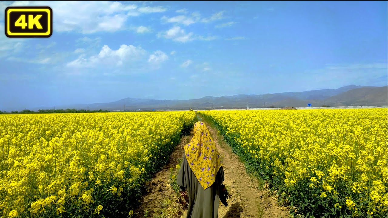 Часть рая на земле в Иране_Казвин 2022_прогулка среди красивых цветов