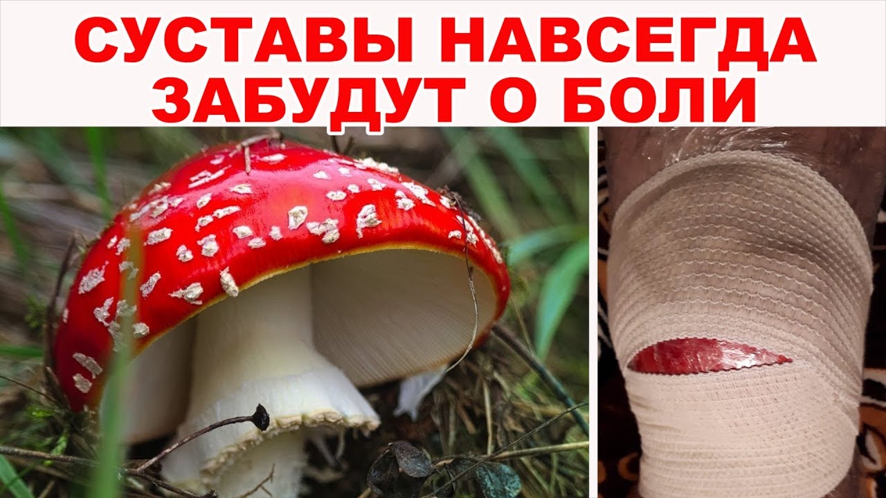 Силовые аспекты лечебного эффекта магического настоя