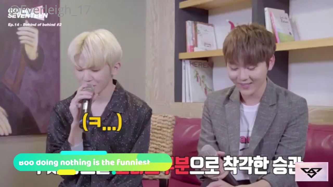 [세븐틴] Seventeen Cute Mistakes