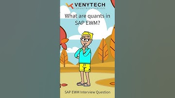 SAP EWM Interview Question: Explained - What are quants in SAP EWM?