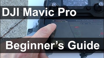 The Complete Beginner