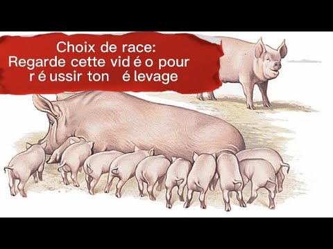 Vidéo: La réévaluation est une méthode pour faire face aux effets de l'inflation