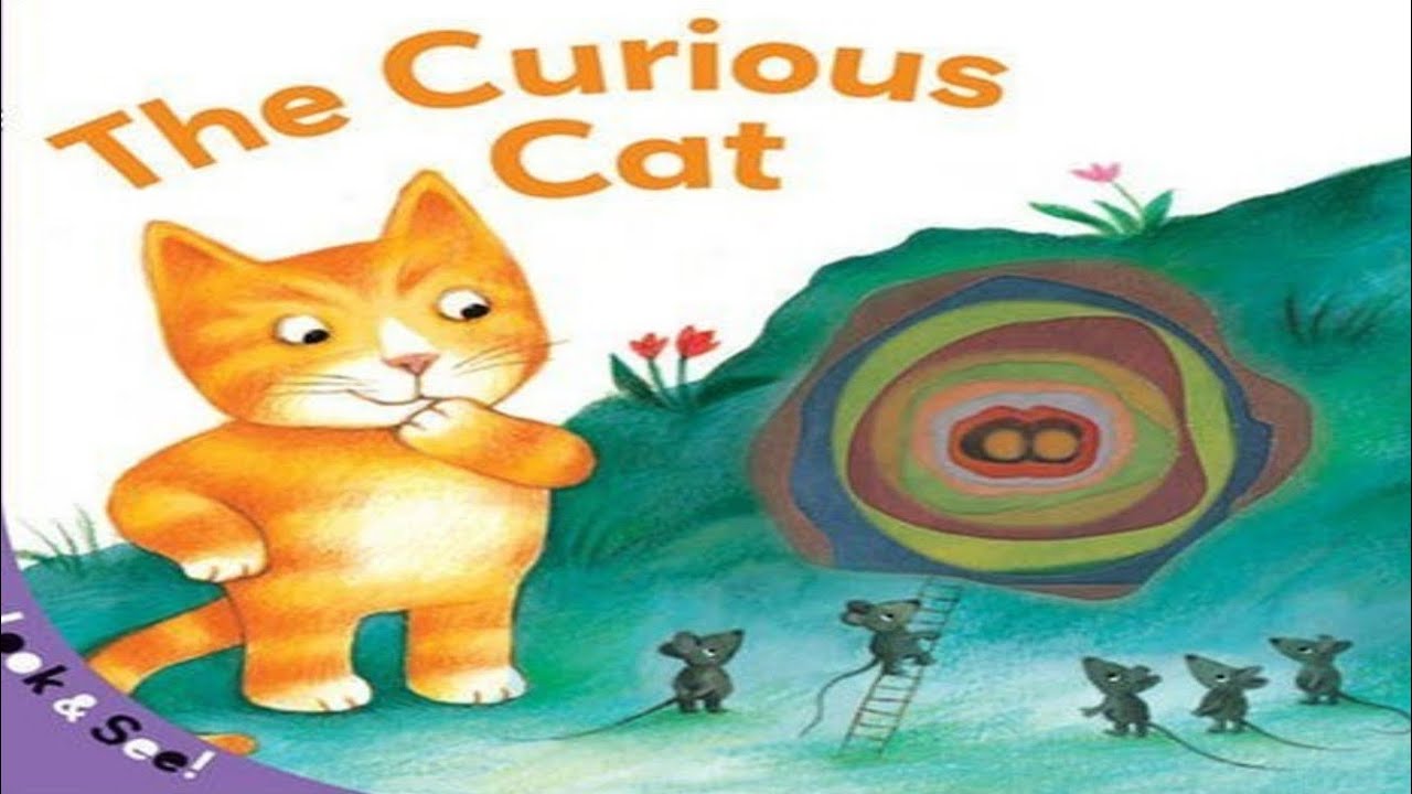 The Magical Adventure of the Curious Cat | Fun & EnteThe Magical ...