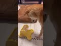 でるでる自飯器使ってみた