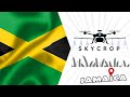 Jamaica Built. The Caribbean's Own Agricultural Drone Manufacturer — Garnet Harris, SkyCrop JA