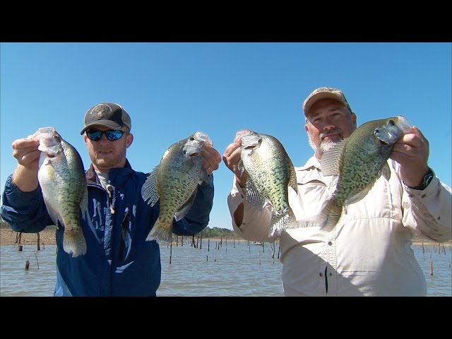 Watch Pinecreek Crappie on YouTube.