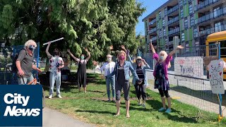 North Vancouver tree saved after weeks of protests