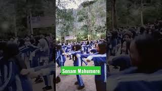 Download Lagu Senam Mahumere #pramuka #riau #pramukapenggalang #kwardariau #regu #harau MP3