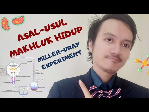 Video: Sejarah asal usul nama Miller