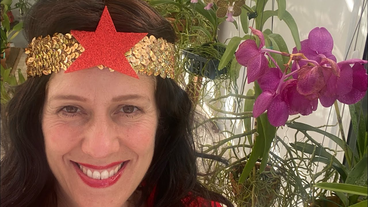 Happy Halloween! Orchids need attention on Halloween too YouTube