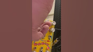 Chase Bliss Habit delay + Mountainking Electronics Frequency LSD + Rucci 8-bit Power Synthesizer