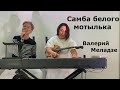 Самба белого мотылька кавер/cover Варелий Меладзе