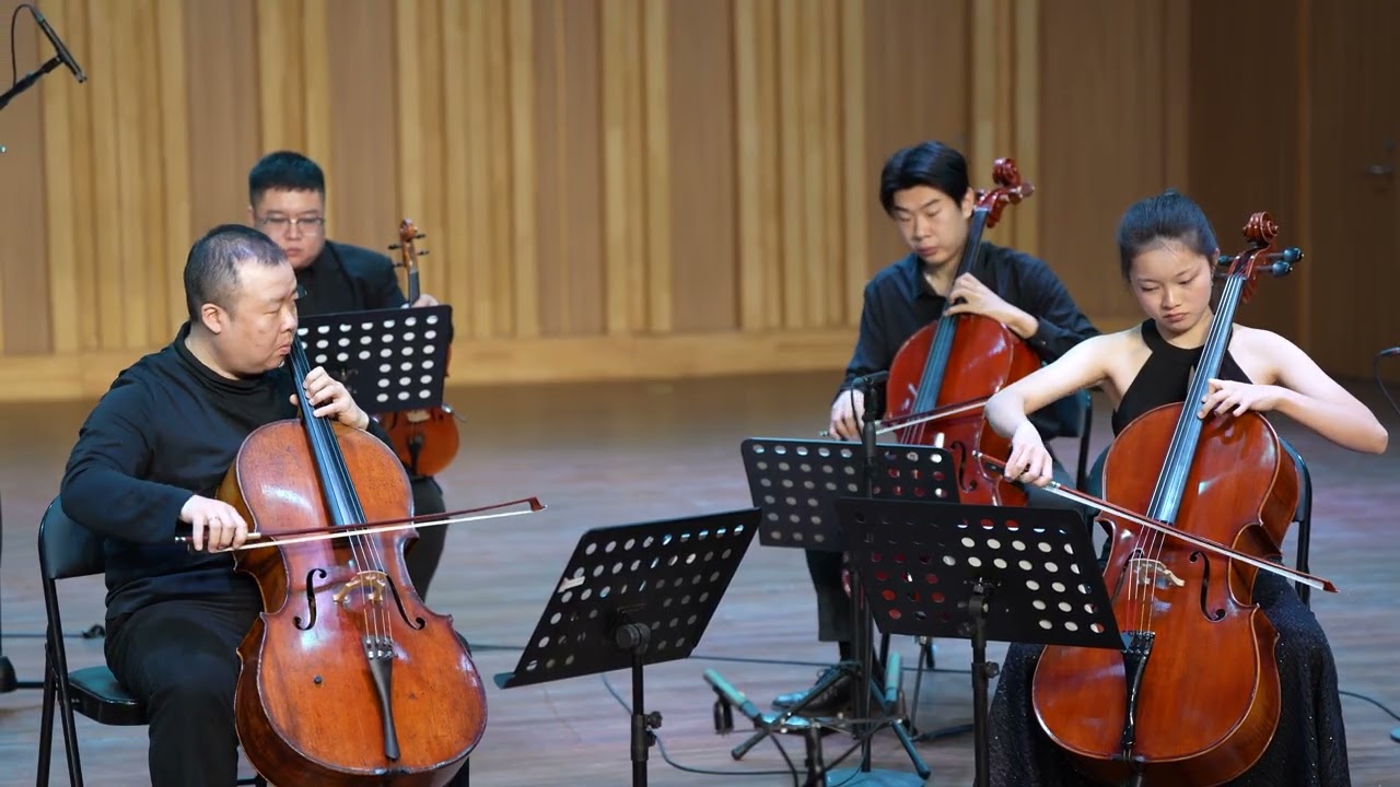 Suri Wang (12y) || Vivaldi - Concerto for Two Cellos in G minor RV531
