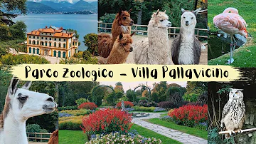 Che animali ci sono a Villa Pallavicino?