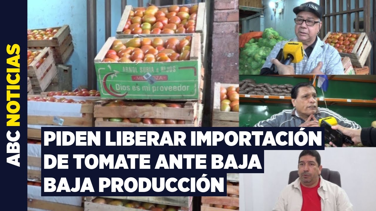El precio del tomate vuelve a subir y comerciantes culpan a la baja producción local