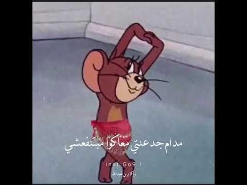 المركب اللي تودي مترجعشي