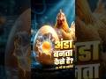 अंडा बनता कैसे है?। #shorts #ytshorts #science #facts #biology #egg #nature