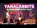 mommy's back       YANALABBITS   SHAKALABBITのコピーバンド 第64回J&ndash;ポップ祭 浜松 Live House 窓枠 2025年9月27日
