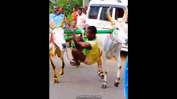 யார்ரா அந்த பையன்💥#inbu#rekla#rekla_race #rekla_race_2022#ரேக்ளாரேஸ்#ரேக்ளா#reklarace#reklarace_2022