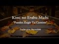 Yui Makino "Kimi No Erabu Michi" Sub Espa&ntilde;ol