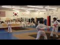 Srimanns orange belt form test