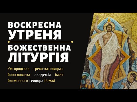 Видео: Crucian донтолт