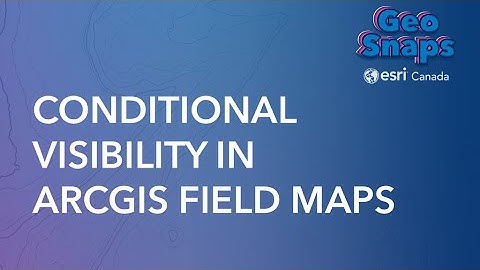 Conditional Visibility in ArcGIS Field Maps