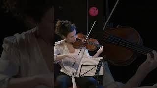 MOZART // 'String Quintet No. 6 in E-Flat Major, K. 614: IV. Allegro' by Spunicunifait #mozart