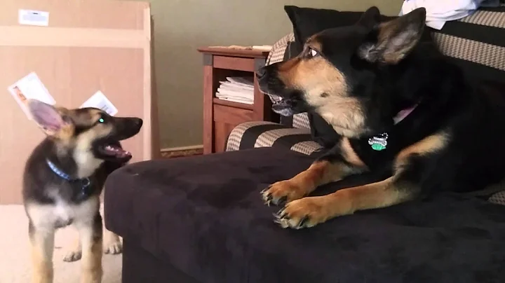Big sister lectures little sister