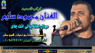 كوكب الصعيد محمود سليم امانة يالى انت جاى