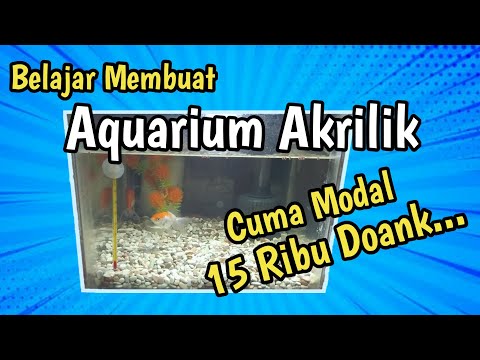 Membuat Akuarium Ikan Cupang dari Akrilik. 