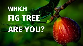 What is the Meaning of the Fig Tree Parable? A Lesson about the Fig Tree